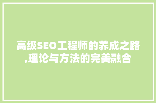高级SEO工程师的养成之路,理论与方法的完美融合