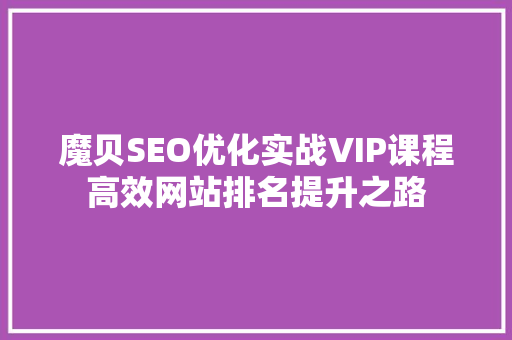 魔贝SEO优化实战VIP课程高效网站排名提升之路