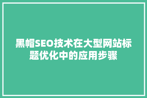 黑帽SEO技术在大型网站标题优化中的应用步骤