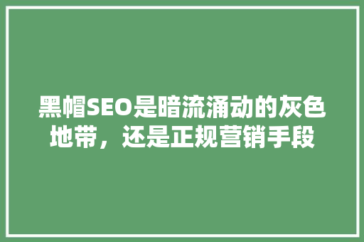 黑帽SEO是暗流涌动的灰色地带，还是正规营销手段