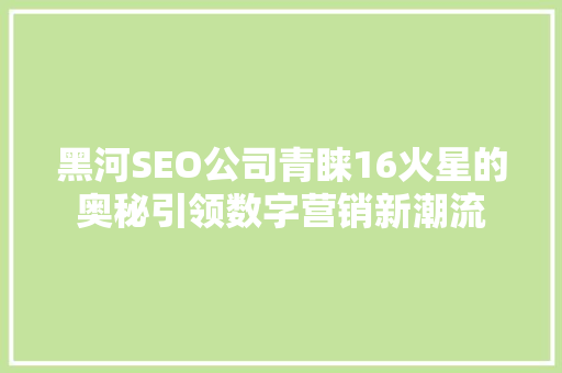 黑河SEO公司青睐16火星的奥秘引领数字营销新潮流