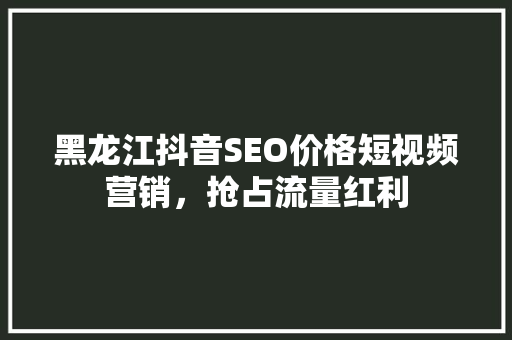 黑龙江抖音SEO价格短视频营销，抢占流量红利