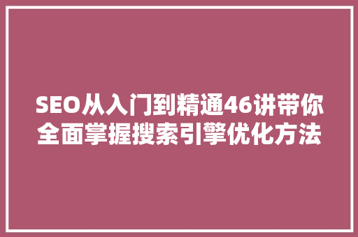 SEO从入门到精通46讲带你全面掌握搜索引擎优化方法
