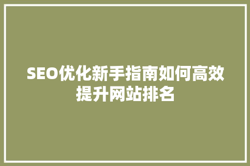 SEO优化新手指南如何高效提升网站排名