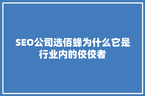 SEO公司选佰蜂为什么它是行业内的佼佼者