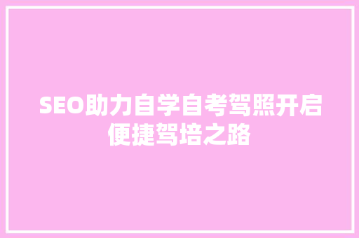 SEO助力自学自考驾照开启便捷驾培之路