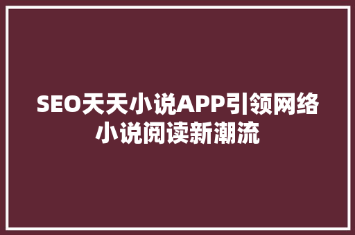SEO天天小说APP引领网络小说阅读新潮流