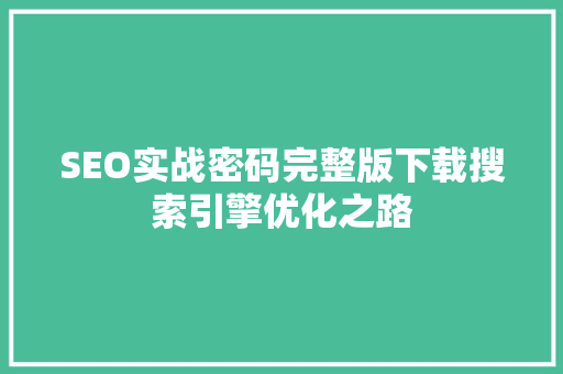 SEO实战密码完整版下载搜索引擎优化之路