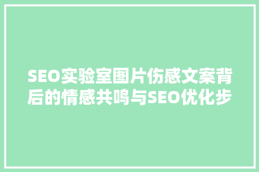 SEO实验室图片伤感文案背后的情感共鸣与SEO优化步骤