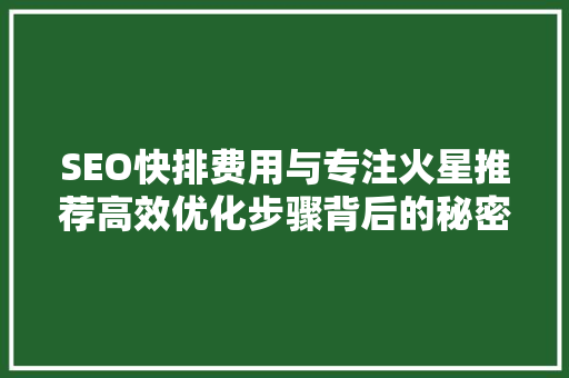 SEO快排费用与专注火星推荐高效优化步骤背后的秘密