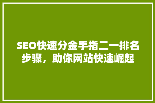 SEO快速分金手指二一排名步骤，助你网站快速崛起