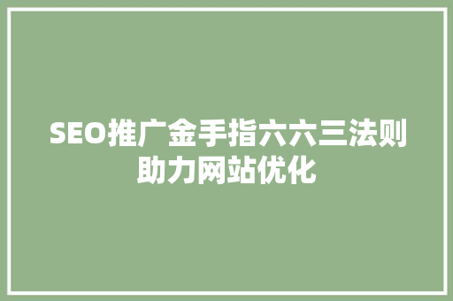 SEO推广金手指六六三法则助力网站优化