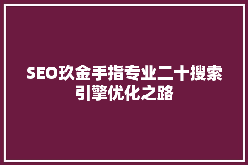 SEO玖金手指专业二十搜索引擎优化之路