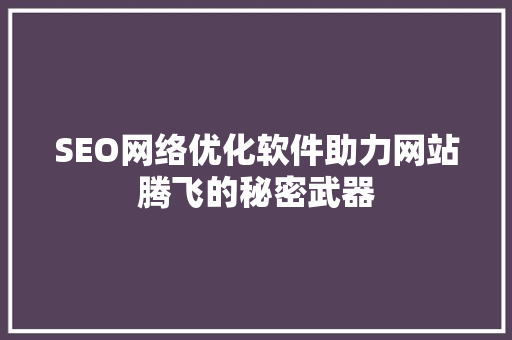SEO网络优化软件助力网站腾飞的秘密武器
