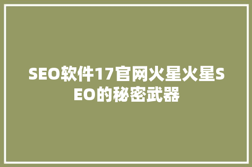 SEO软件17官网火星火星SEO的秘密武器