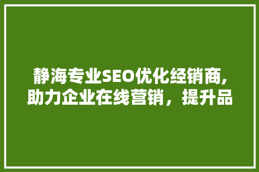 静海专业SEO优化经销商,助力企业在线营销，提升品牌影响力