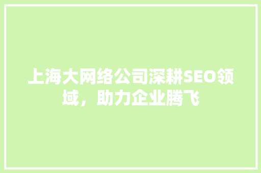 上海大网络公司深耕SEO领域，助力企业腾飞