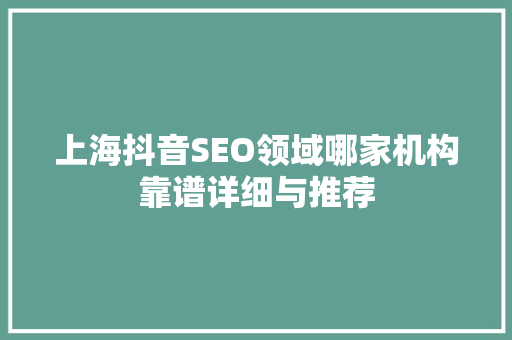 上海抖音SEO领域哪家机构靠谱详细与推荐