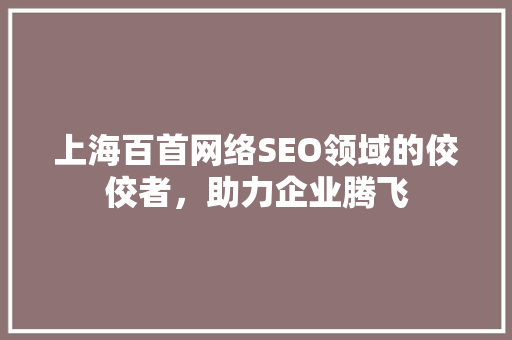 上海百首网络SEO领域的佼佼者，助力企业腾飞