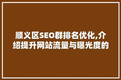 顺义区SEO群排名优化,介绍提升网站流量与曝光度的方法