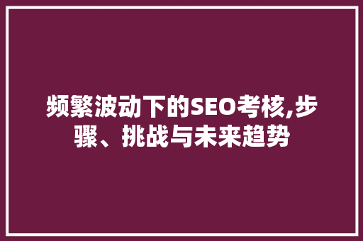频繁波动下的SEO考核,步骤、挑战与未来趋势