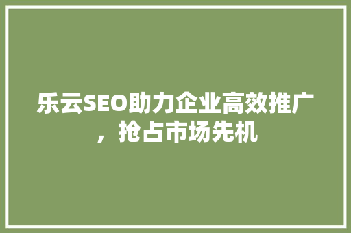 乐云SEO助力企业高效推广，抢占市场先机