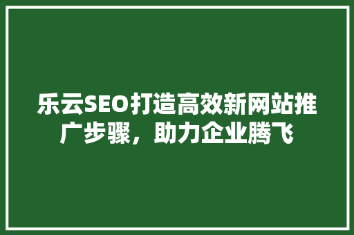 乐云SEO打造高效新网站推广步骤，助力企业腾飞