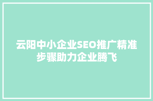 云阳中小企业SEO推广精准步骤助力企业腾飞