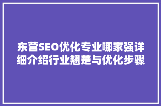 东营SEO优化专业哪家强详细介绍行业翘楚与优化步骤  第1张