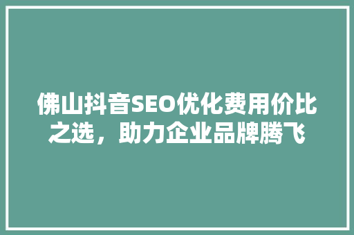 佛山抖音SEO优化费用价比之选，助力企业品牌腾飞