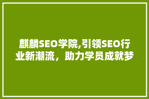 麒麟SEO学院,引领SEO行业新潮流，助力学员成就梦想