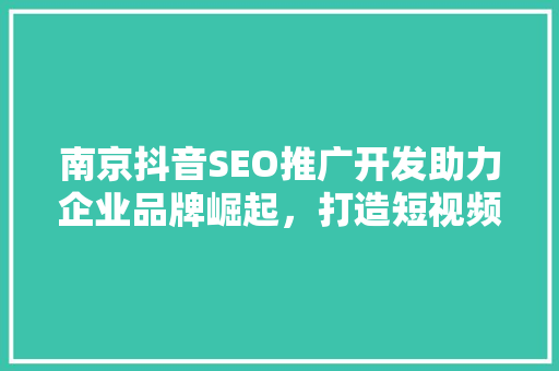 南京抖音SEO推广开发助力企业品牌崛起，打造短视频营销新天地