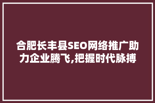 合肥长丰县SEO网络推广助力企业腾飞,把握时代脉搏，开启营销新篇章