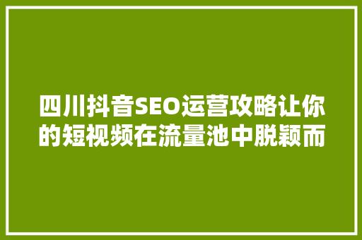 四川抖音SEO运营攻略让你的短视频在流量池中脱颖而出