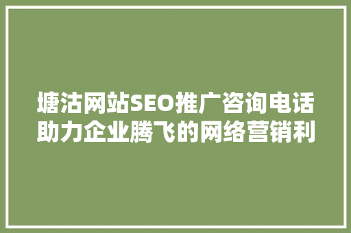 塘沽网站SEO推广咨询电话助力企业腾飞的网络营销利器