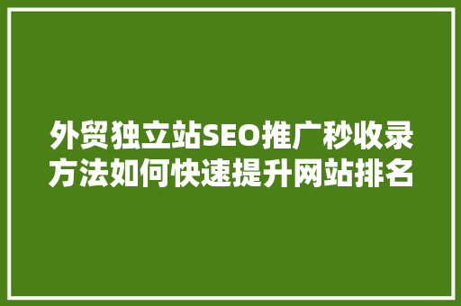 外贸独立站SEO推广秒收录方法如何快速提升网站排名