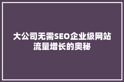 大公司无需SEO企业级网站流量增长的奥秘