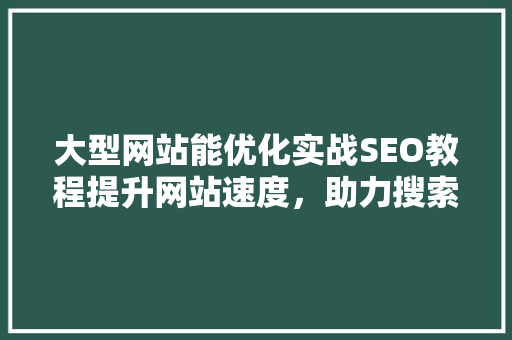 大型网站能优化实战SEO教程提升网站速度，助力搜索引擎排名