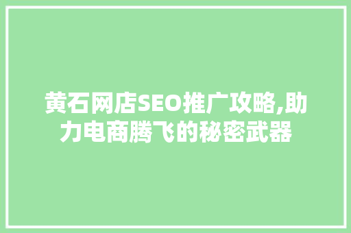 黄石网店SEO推广攻略,助力电商腾飞的秘密武器