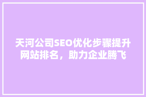 天河公司SEO优化步骤提升网站排名，助力企业腾飞