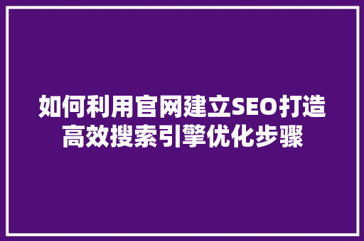 如何利用官网建立SEO打造高效搜索引擎优化步骤