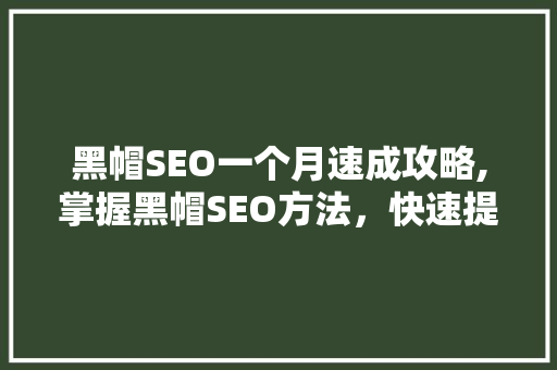 黑帽SEO一个月速成攻略,掌握黑帽SEO方法，快速提升网站排名