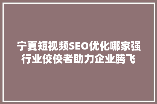 宁夏短视频SEO优化哪家强行业佼佼者助力企业腾飞