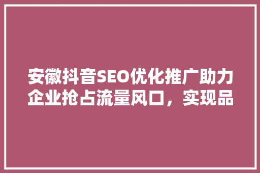 安徽抖音SEO优化推广助力企业抢占流量风口，实现品牌腾飞