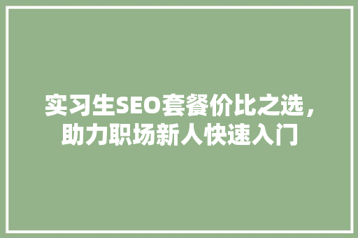 实习生SEO套餐价比之选，助力职场新人快速入门