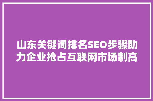 山东关键词排名SEO步骤助力企业抢占互联网市场制高点