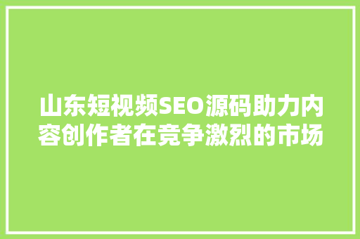山东短视频SEO源码助力内容创作者在竞争激烈的市场脱颖而出