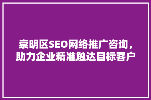 崇明区SEO网络推广咨询，助力企业精准触达目标客户