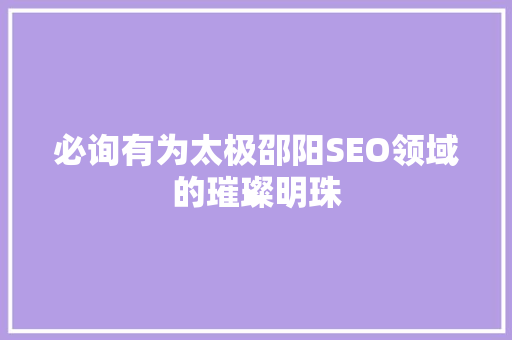 必询有为太极邵阳SEO领域的璀璨明珠