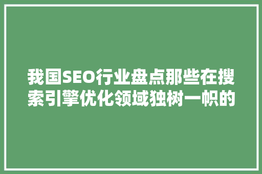我国SEO行业盘点那些在搜索引擎优化领域独树一帜的公司